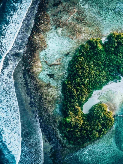 Aerial view of forest and sea.